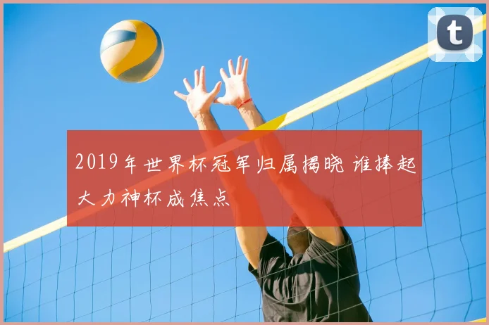 2019年世界杯冠军归属揭晓 谁捧起大力神杯成焦点