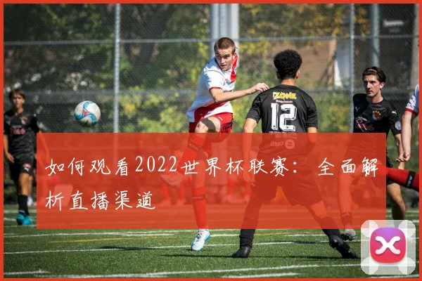 如何观看2022世界杯联赛：全面解析直播渠道